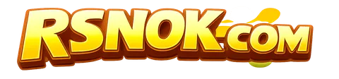 Logo rsnok